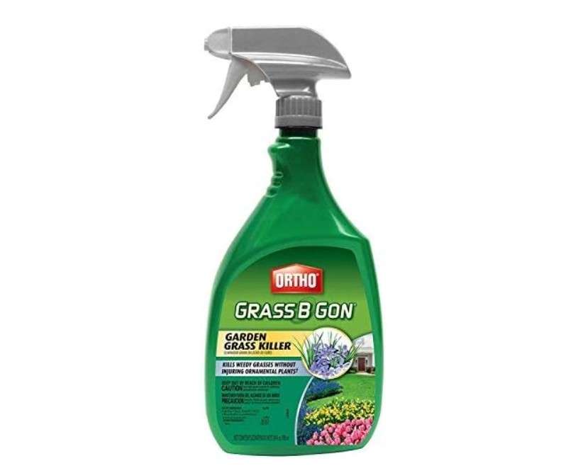 Ortho 0438580 Grass B Gon Garden Grass Killer Ready-to-Use Spray, 24-Ounce (2) 