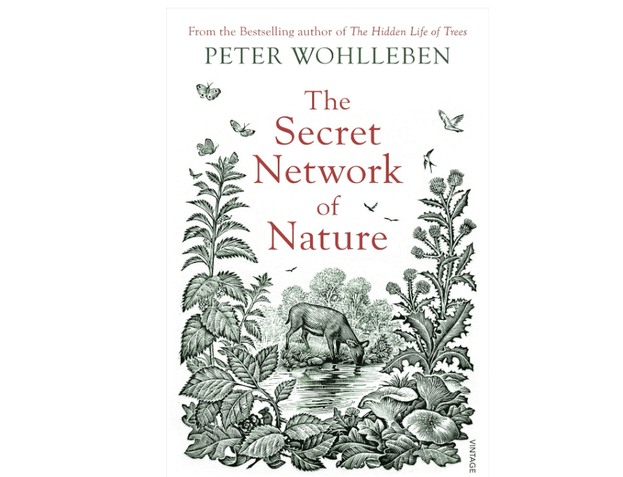 
The Secret Network of Nature: The Delicate Balance of All Living Things