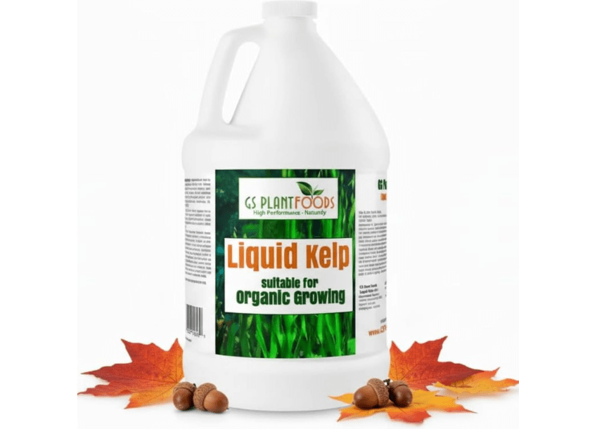 
GS Plant Foods Liquid Kelp Fertilizer – Suitable for Organic Growing, OMRI Listed Seaweed Concentrate for Lawns, Gardens & Soil - 1 Gallon