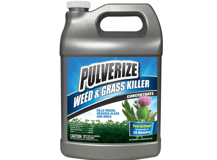 Pulverize Weed and Grass Killer, All Natural, Fast Acting, Non-Staining, Safe for People and Pets, Herbicide for Moss, Algae, Weeds, and Grass, Concentrate.
