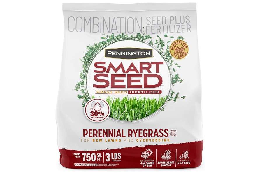 Pennington Smart Seed Perennial Ryegrass 3 lb
