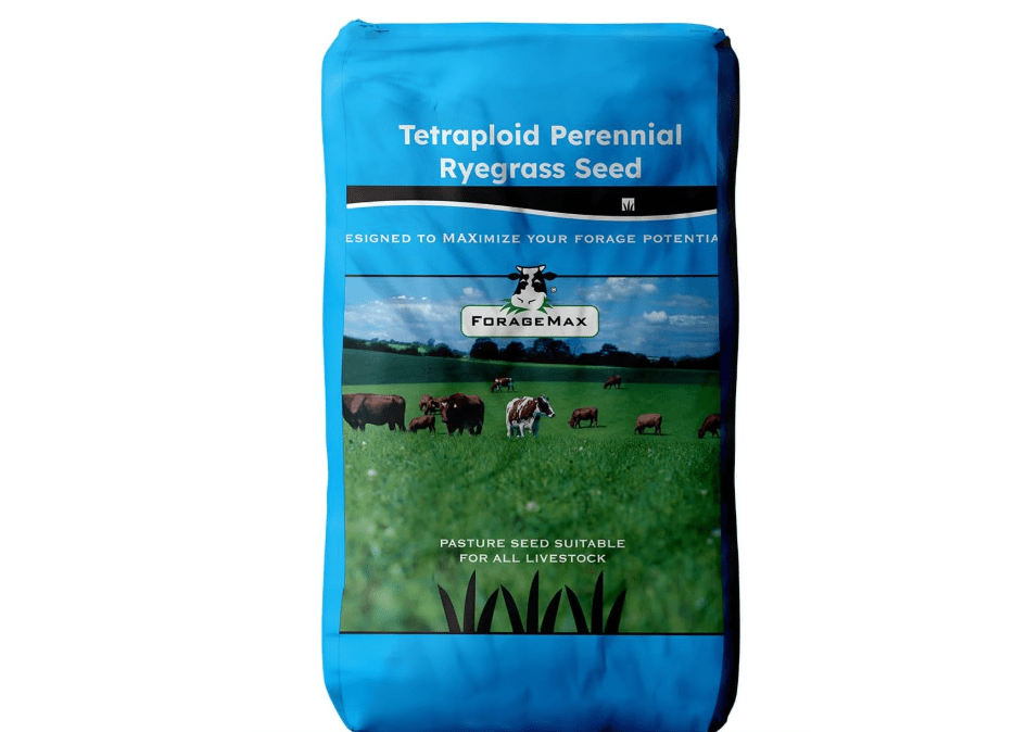 
Outsidepride Ryegrass Seeds - 25 lb. Hardy & Fast-Growing, Cover Crop Seeds for Planting Glossy Dark Green Grass Leaves, Ideal for Hay Foraging,