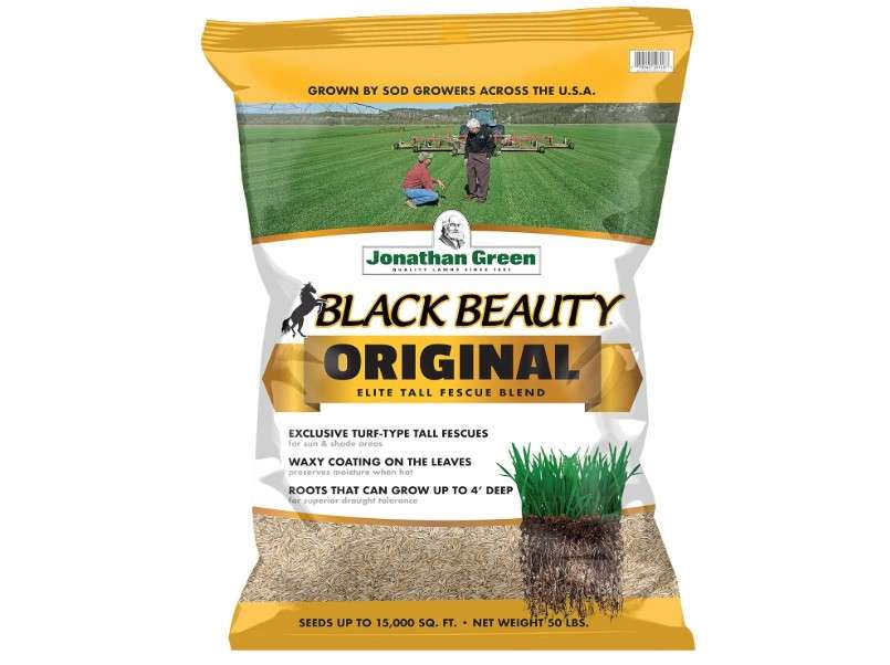 Jonathan Green (10316) Black Beauty Original Grass Seed Blend - Cool Season Lawn Seed 