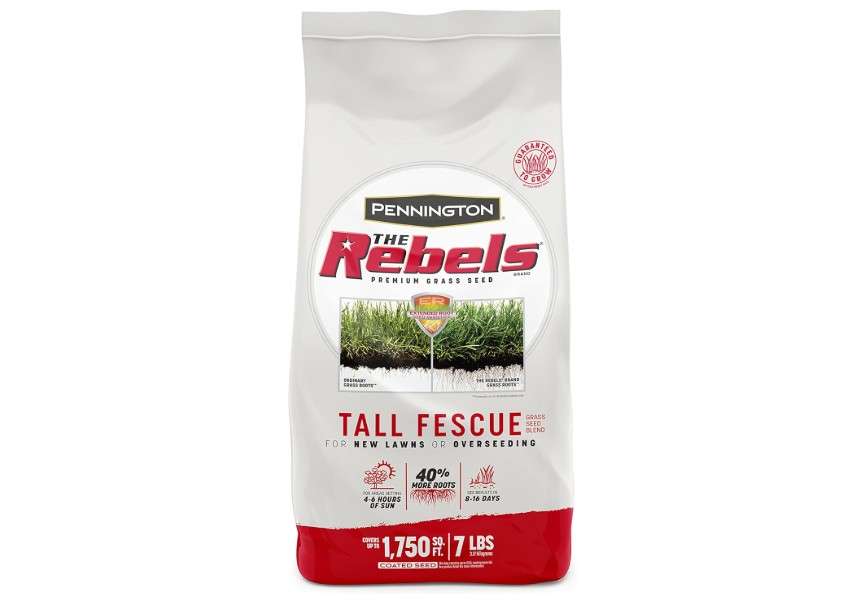 Pennington The Rebels Tall Fescue Grass Seed Mix 7 lb 
