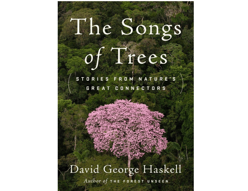 
The Songs of Trees: Stories from Nature's Great Connectors