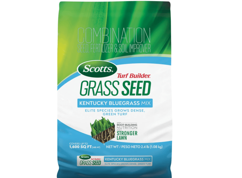 Outsidepride Fireball & Hattrick Rye Grass Seed Blend - 5 Lbs. Wear Tolerant, Fine Leaf Texture Perennial Rye Grass Seeds for Lawn, Sports Turf &