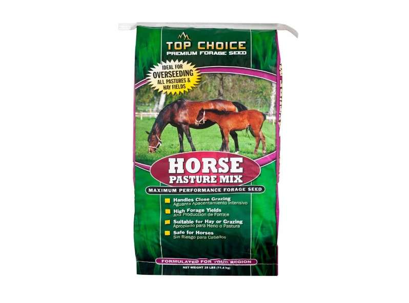 Mountain View Seeds 100371 Horse Pasture Mix Grass Seed, 25-Pound
