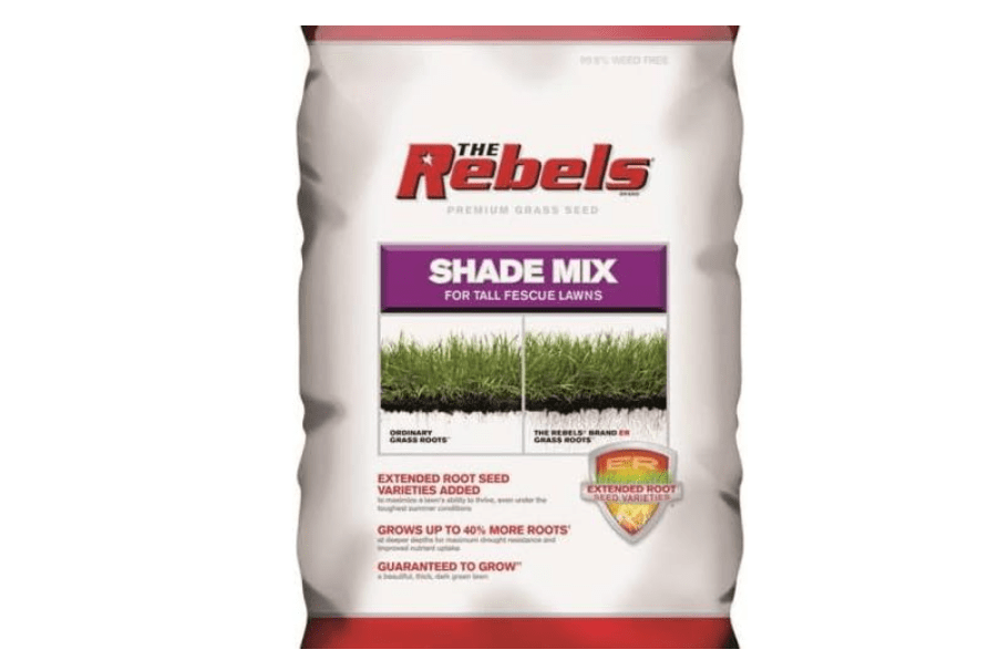 
PENNINGTON SEED 100526878 Fescue Seed
