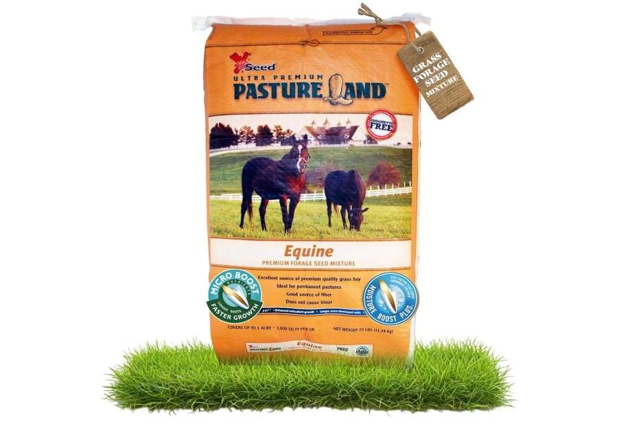 X-Seed Pasture Land Equine Forage Seed Mixture with Micro-Boost – No Mow Pasture Grass with Clover, Ryegrass & Perennial Greens – Recommender for Horses
