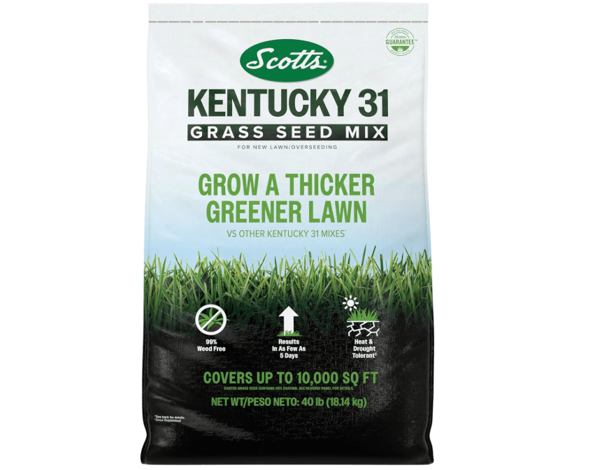 
Scotts Kentucky 31 Grass Seed Mix for New Lawns or Overseeding, Grows Thicker and Greener vs. Other Kentucky 31 Mixes, Covers up to 10,000 sq.