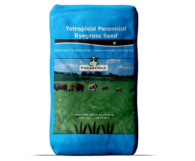 Outsidepride Ryegrass Seeds - 50 lb. Perennial, Hardy & Fast-Growing, Cover Crop Seeds for Planting Glossy Dark Green Grass Leaves, Ideal for Hay...