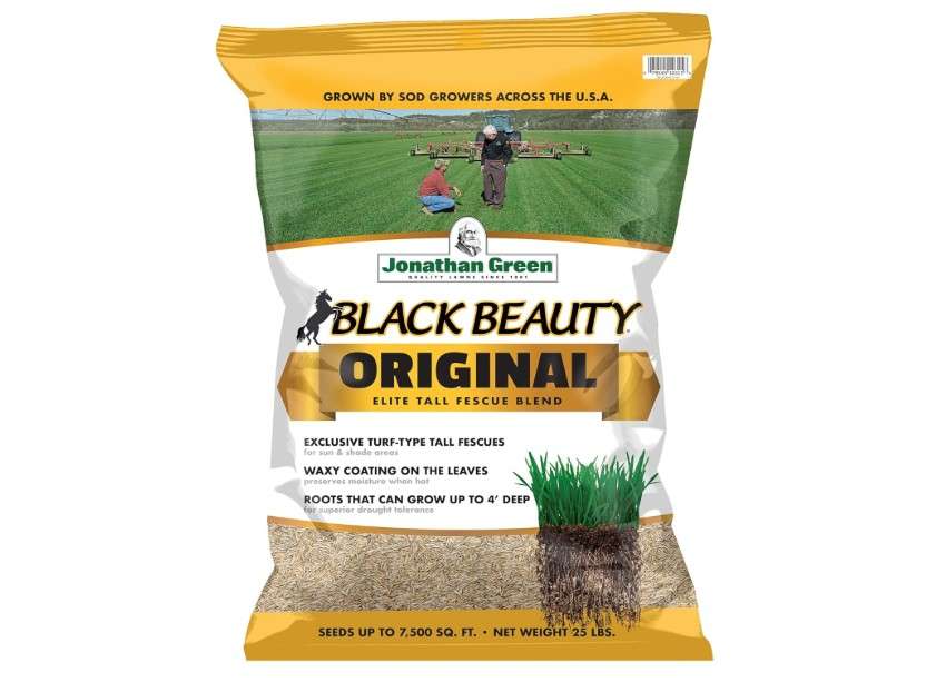 Jonathan Green (10315) Black Beauty Original Grass Seed Blend - Cool Season Lawn Seed (25 lb)