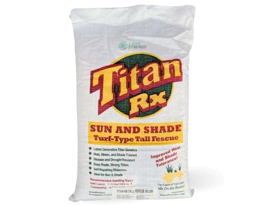 Titan RX Sun and Shade Turf-Type Tall Fescue Grass Seed (10 lbs.)