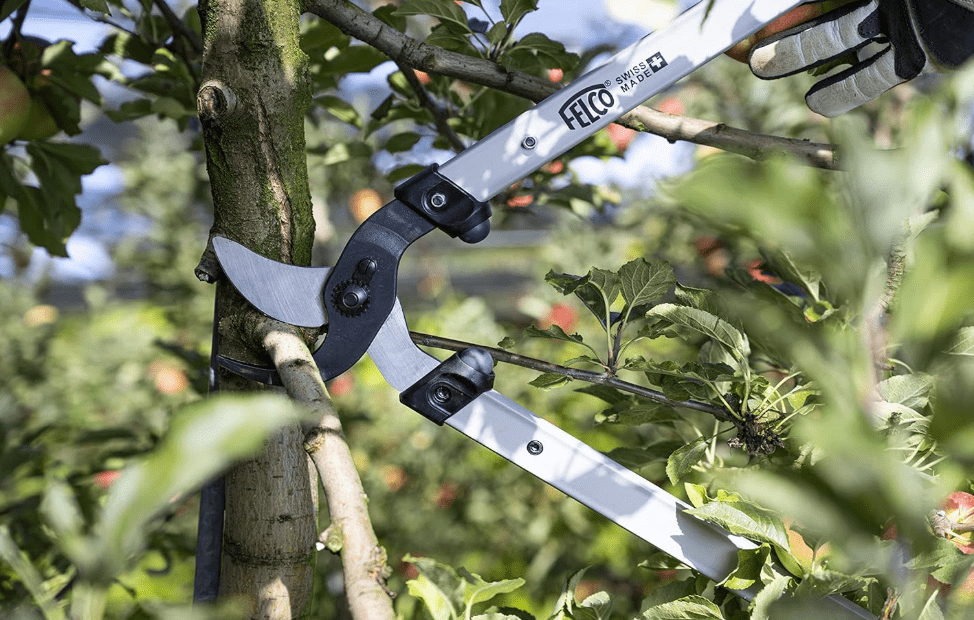 
FELCO F211-80 Swiss Made Loppers for Gardening – 32" Lightweight Precision Loppers for Tree Trimming | Tree Branch Cutters | Tree Trimmer Tool with