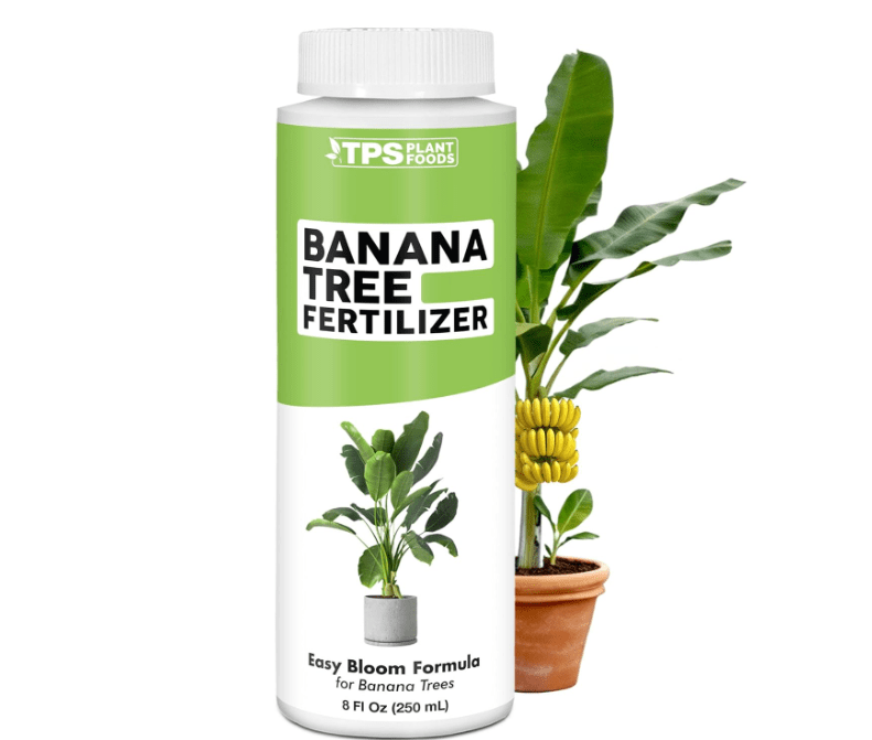 
Banana Tree Fertilizer for All Banana Tree Plants, Liquid Plant Food 8 oz (250mL)