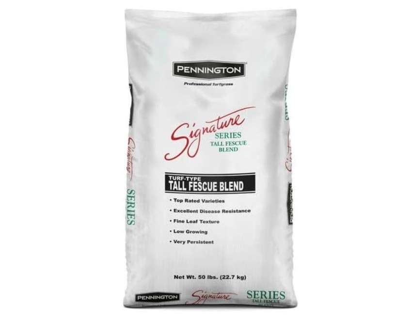 Pennington Signature Series Tall Fescue Blend Blue Tag 50 lb Grass Seed Partial Sun

