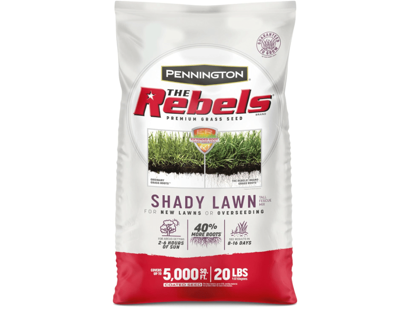 Pennington The Rebels Tall Fescue Shady Grass Seed Mix 20 lb