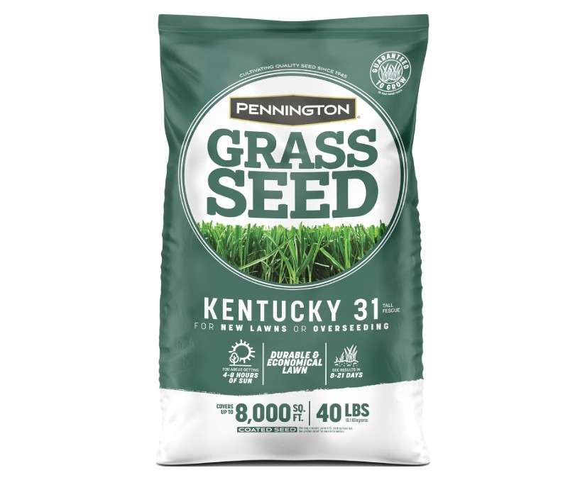  Pennington Kentucky 31 Tall Fescue Penkoted Grass Seed 40 lbs