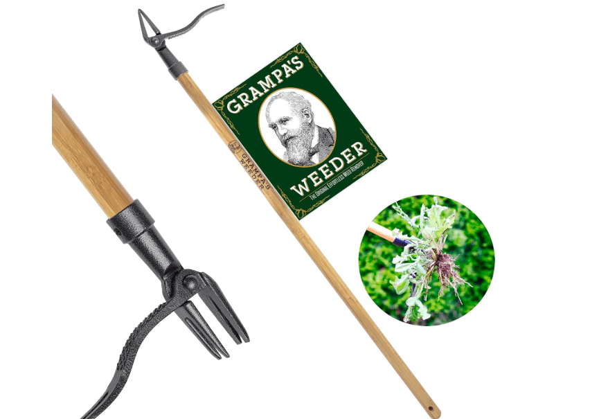 Grampa's Weeder - The Original Stand Up Weed Puller Tool with Long Handle - Made with Real Bamboo & 4-Claw Steel Head Design - Easily Remove Weeds.