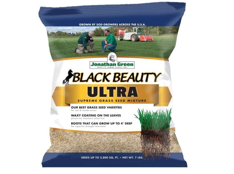 Jonathan Green (10322) Black Beauty Ultra Grass Seed - Cool Season Lawn Seed (7 lb)