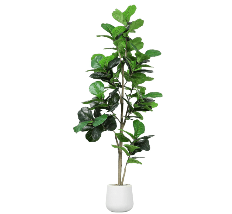 
Jocoevol Artificial Fiddle Leaf Tree, 7ft Faux Plant Fake Ficus Lyrata Trees with White Planter, Artificial Fig Trees Floor Plants for House Office Living