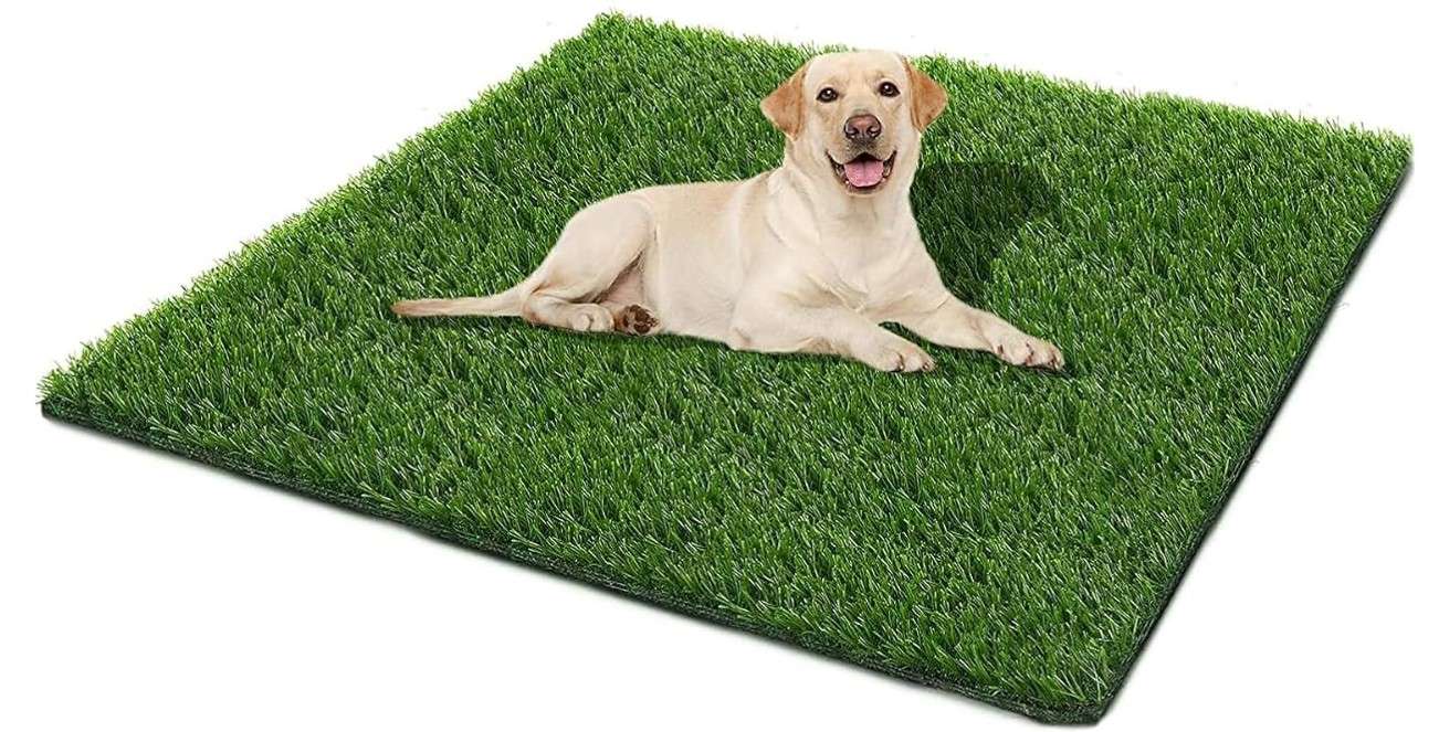 SSRIVER Dog Grass Pad,51.2x31.5In Fake Grass for Dogs,Artificial Grass Pee Pad for Puppies Potty Training Indoor Outdoor
