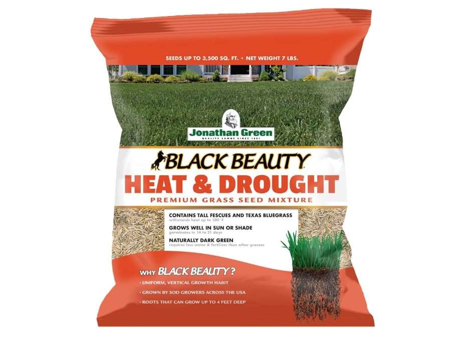 Jonathan Green (10515) Black Beauty Heat & Drought Resistant Grass Seed - Cool Season Lawn Seed (7 lb)