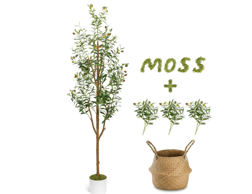 
LuceAlberi 6FT Artificial Olive Tree - Indoor Tall Faux Olive Trees with Seagrass Basket&3PCS 18Inch Olive Branches, Large Fake Olive Silk Tree