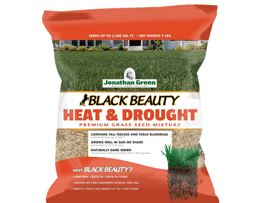 Jonathan Green (10515) Black Beauty Heat & Drought Resistant Grass Seed - Cool Season Lawn Seed