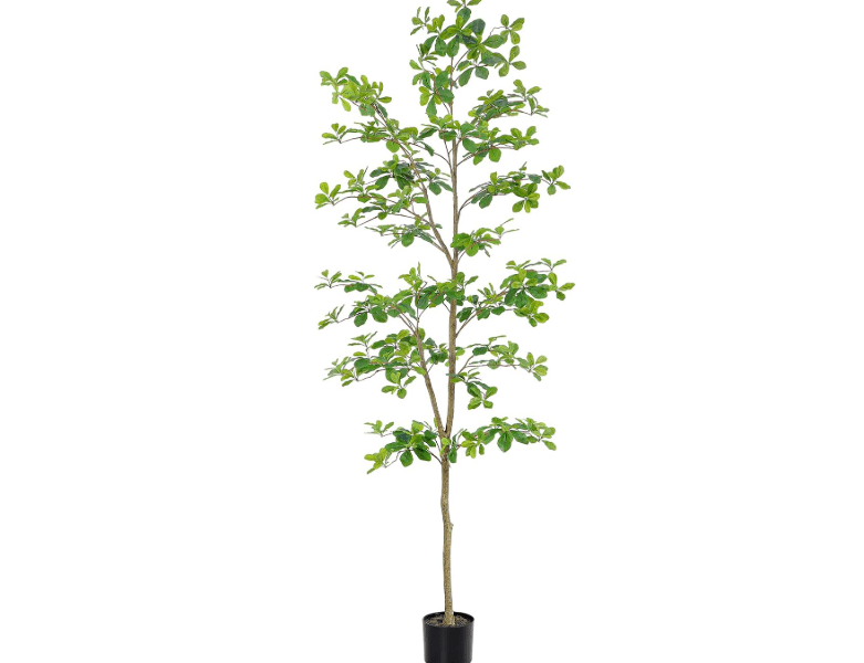 
Bellacat Faux Black Olive Tree 7ft, Tall Faux Trees Indoor with Natural Trunk and Realistic Leaves. 7 Feet(84in) Artificial Tree for Home Office Décor