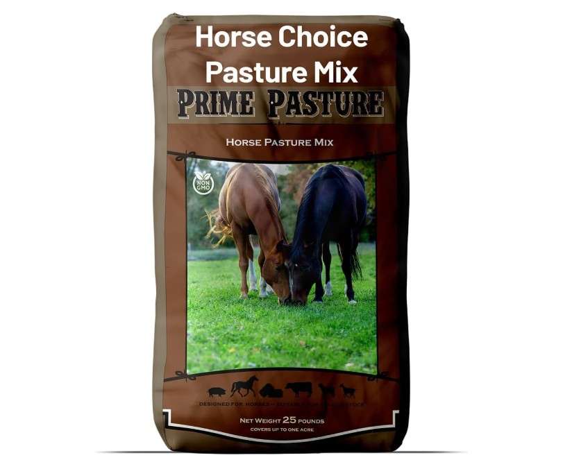  Outsidepride Horse Choice Pasture & Livestock Grass Seed Mix - 50 Lbs Perennial, Drought Tolerant, Cold Hardy, & High Yield Lawn Grass Seeds
