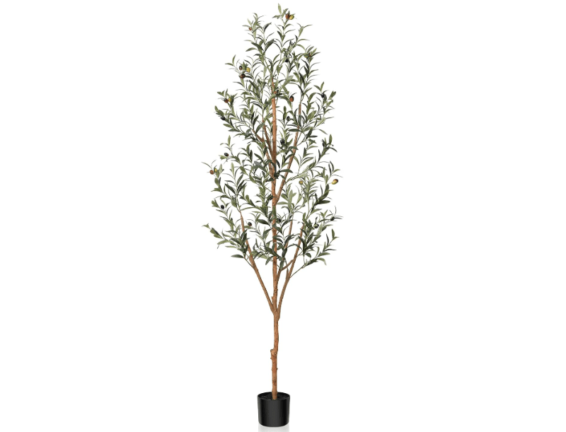
Kazeila Artificial Olive Tree 6FT Tall Faux Silk Plant for Home Office Decor Indoor Fake Potted Tree with Wood Branches and Fruits