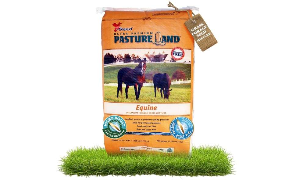 X-Seed Pasture Land Equine Forage Seed Mixture with Micro-Boost – No Mow Pasture Grass with Clover, Ryegrass & Perennial Greens – Recommender for Horses... 