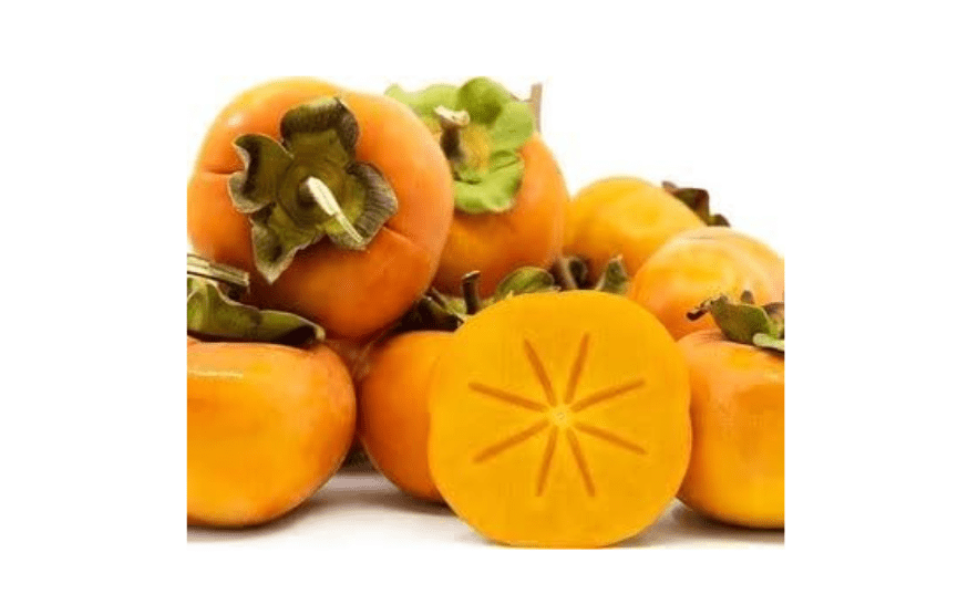 
9EzTropical - Fuyu Asian Persimmon Tree - 2 Feet Tall - Ship in Pot