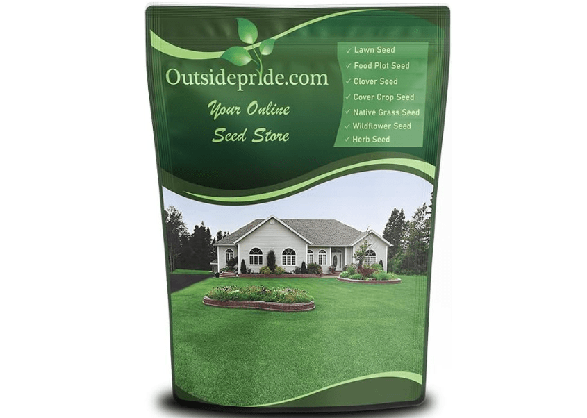 
Outsidepride Perennial Buffalo Grass Seed - 2 lbs Heat & Drought Tolerant, Low Maintenance, Warm Season Dense Turf Grass Seed for Lawn, Xeriscape.