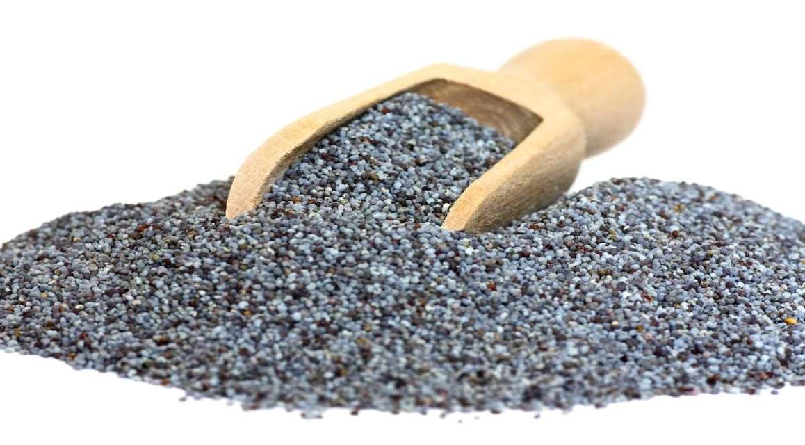 
Amazing Botanicals Spanish Blue Seeds - 100 gram Poppy Seeds for Cake, Dressing and Pastry Baking - Flavorful & Crunchy with Sweet Fragrance