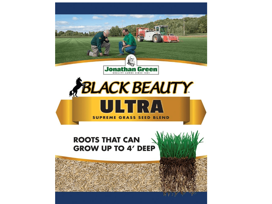 Jonathan Green 40322 Black Beauty Ultra Grass Seed,