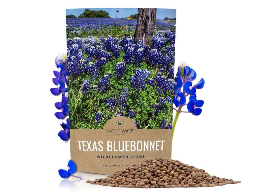 Texas Bluebonnet Wildflower Seeds - Bulk 1/4 Pound Bag - Over 4,000 Native Seeds - Texas State Flower!
