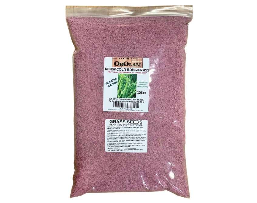 SeedRanch Pensacola Bahia Grass Seed - 10 Lbs. by SeedRanch