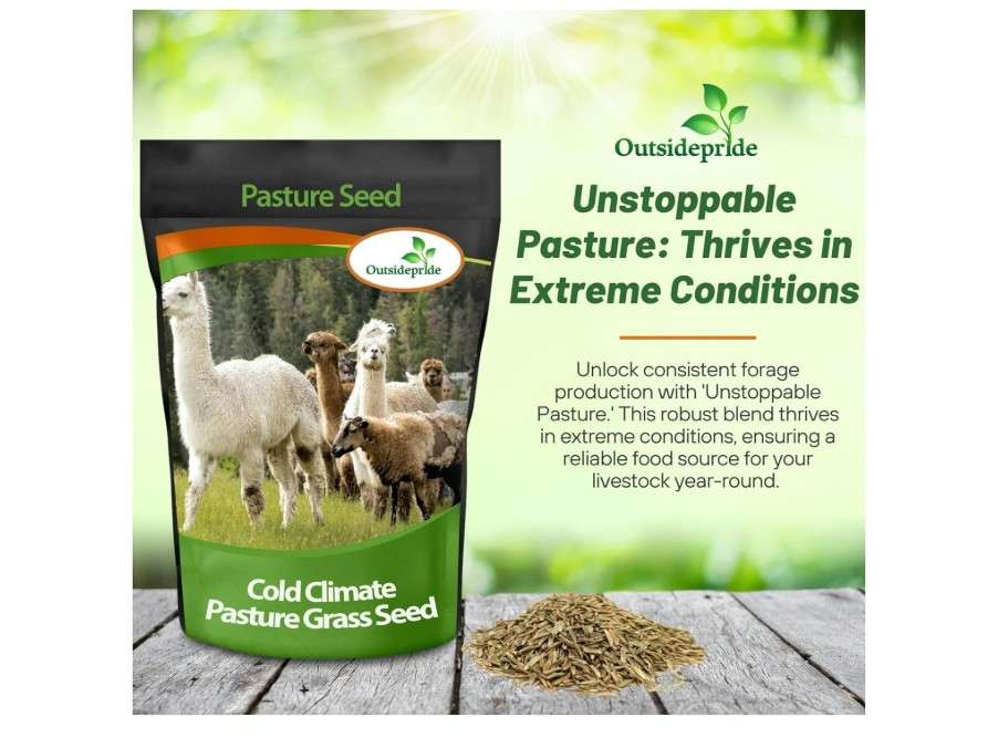 Outsidepride Horse Cold Climate Grass Seed Mix - 25 lb. Perennial, Drought & Cold Tolerant, Pasture Seeds for Planting Resilient Grass Leaves