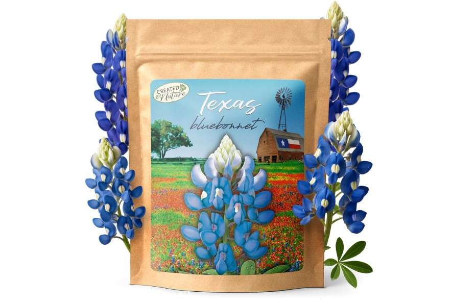 
Created By Nature Texas Bluebonnet Seeds, 750+ Wildflower Seeds, Texas State Flower