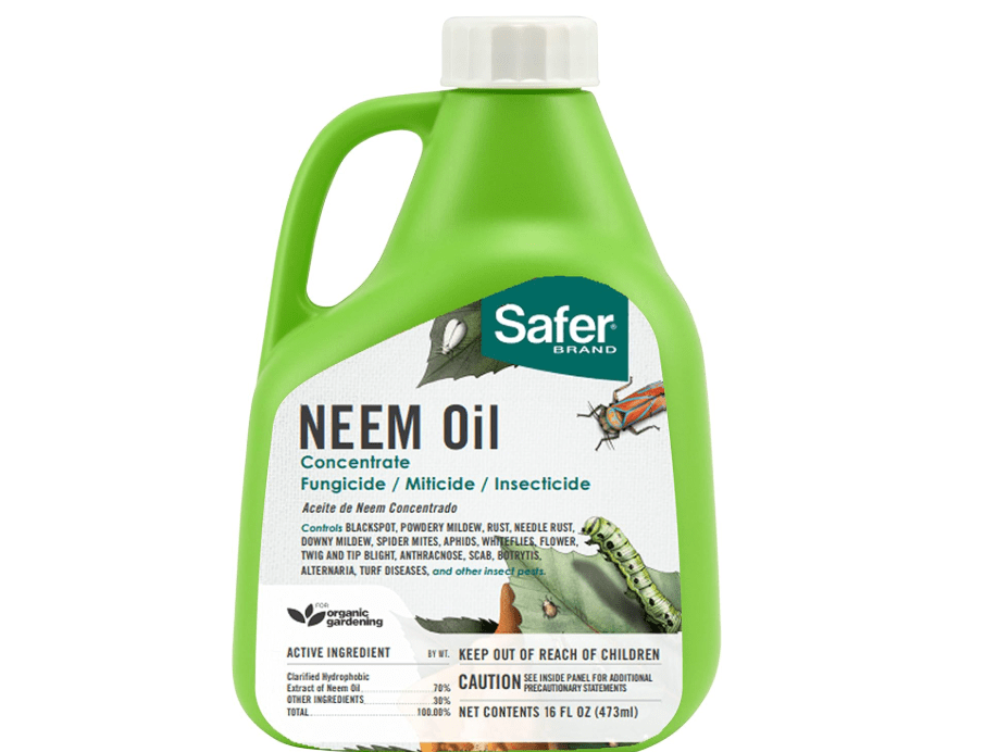 
Safer Brand 5182-6 Neem Oil Concentrate Insecticide, Miticide, Fungicide for Plants - Kills Insects and Mites and Controls Fungal Disease - OMRI Listed for..