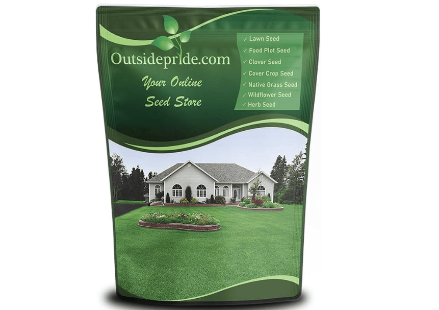 
Outsidepride Perennial Buffalo Grass Seed - 2 lbs Heat & Drought Tolerant, Low Maintenance, Warm Season Dense Turf Grass Seed for Lawn, Xeriscape