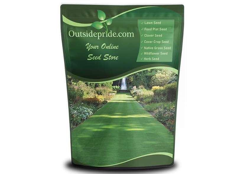  Outsidepride Legacy Fine Fescue Grass Seed Mix - 10 lbs. Shade & Sun Tolerant Blend of Hard Fescue, Chewings Fescue & Creeping Red Fescue