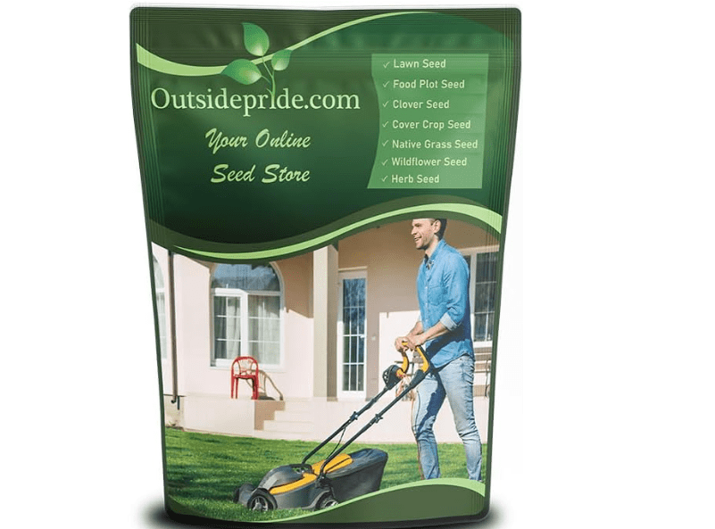 
Outsidepride SPF-30 Hybrid Bluegrass Seeds - 5 lbs. Heat & Drought Tolerant, Texas Bluegrass & Kentucky Bluegrass Seed Mix for Challenging Climates,