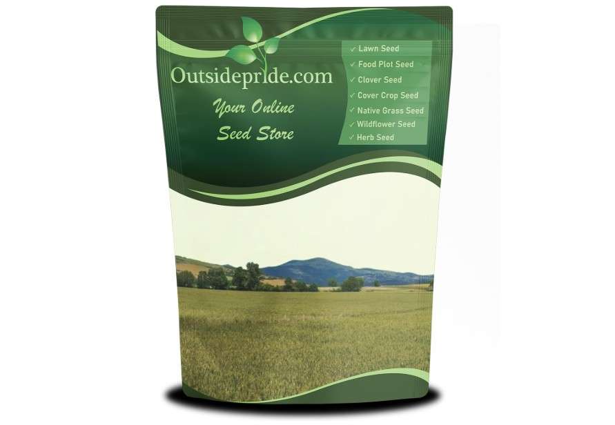 Outsidepride Western Native Grass Seed Mix - 5 lbs. Perennial Blend of Warm & Cool Season, Drought Tolerant Grass Seed for Natural Landscaping... 