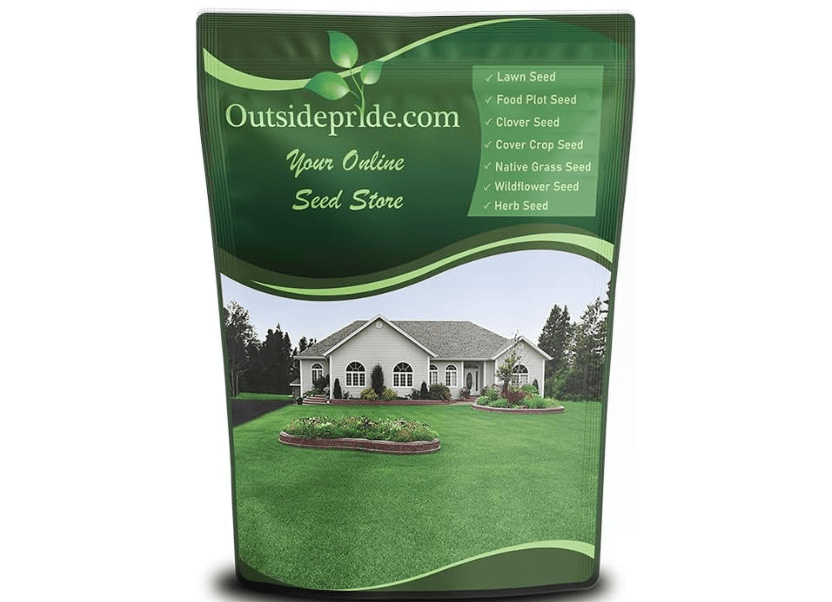 
Outsidepride Perennial Buffalo Grass Seed - 2 lbs Heat & Drought Tolerant, Low Maintenance, Warm Season Dense Turf Grass Seed for Lawn, Xeriscape