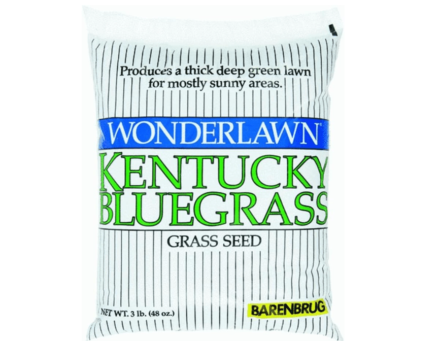 
Barenbrug Usa 50203 Bluegrass Grass Seed