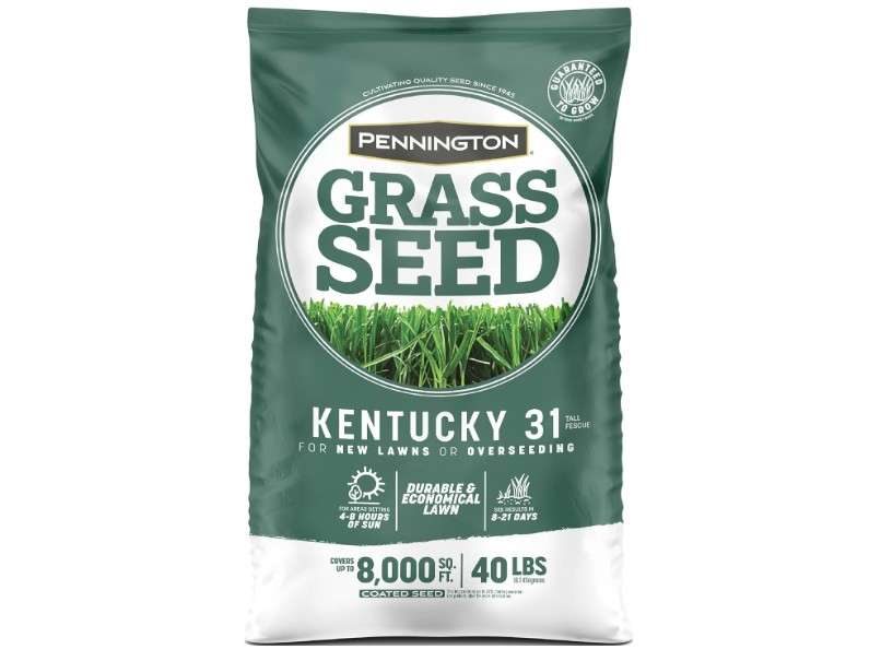 Pennington Kentucky 31 Tall Fescue Penkoted Grass Seed 40 lbs
