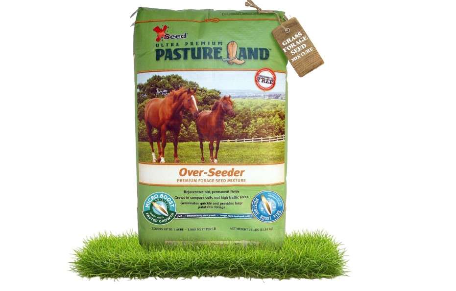  X-Seed Land Over-Seeder Pasture Forage Seed Mix, Endophyte Free for Healthier Livestock Grazing, Clover Food Plot Orchardgrass Perennial Planting Micro.